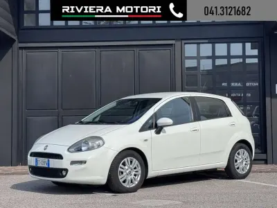 Usata Fiat Punto Lounge 84 CV (61 kW) 2013 Bianco Utilitaria