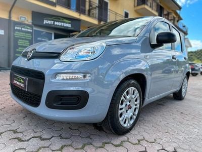 Usata Fiat Panda 70 CV (51 kW) 2020 Grigio Utilitaria