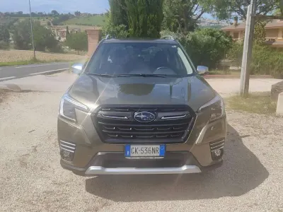 Usata Subaru Forester