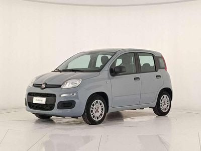 Usata Fiat Panda 69 CV (50 kW) 2022 Grigio moda pastello Utilitaria