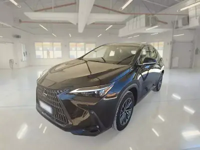 Usata Lexus NX350h Business Edition 190 CV (139 kW) 2022 SUV