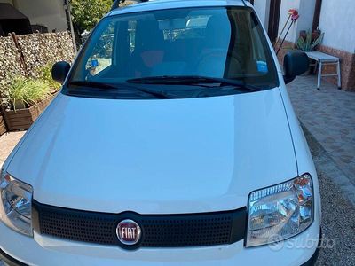Usata Fiat Panda 2012 Bianco Utilitaria