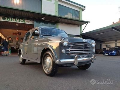Grigio Usata 1950 Fiat 1100 Berlina | 13.000 €