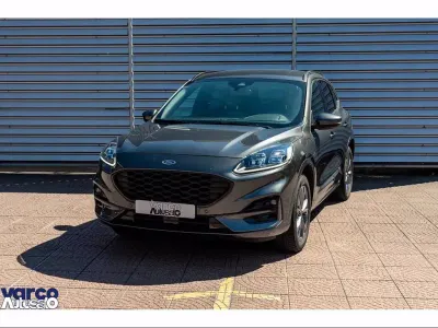 Usata Ford Kuga ST-Line X 225 CV (165 kW) 2023 Grigio SUV