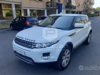 Usata Land Rover Range Rover evoque Pure 150 CV (110 kW) 2013 Bianco SUV