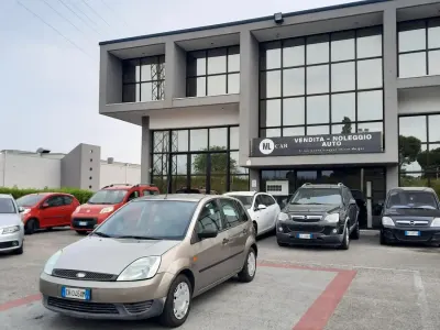 Usata Ford Fiesta