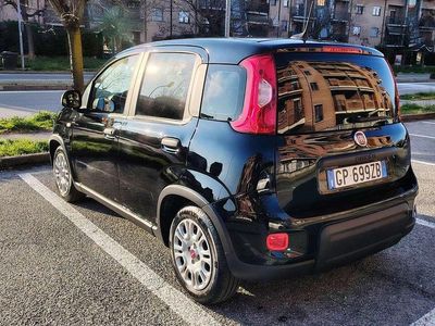 Usata Fiat Panda S 69 CV (50 kW) 2023 Utilitaria