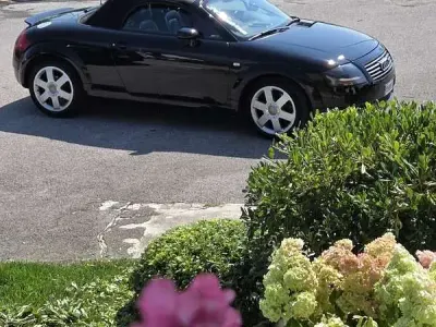 Usata Audi TT Roadster
