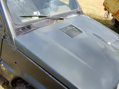 Usata Fiat Panda 4x4 50 CV (36 kW) 1989 Verde Utilitaria