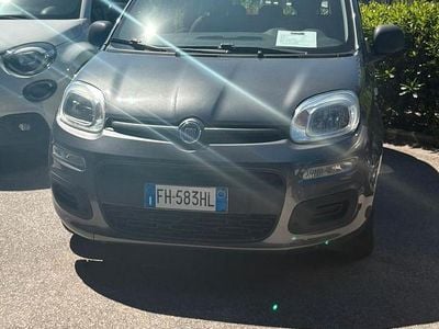 Usata Fiat Panda Easy 69 CV (50 kW) 2017 Grigio Utilitaria