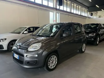 Usata Fiat Panda Easy 69 CV (50 kW) 2018 Grigio Utilitaria