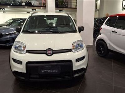 usata Fiat Panda Cross 1.0 FireFly S&S Hybrid City usato