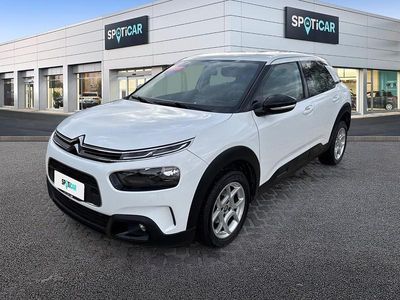 Usata Citroën C4 Feel 2018 Bianco SUV