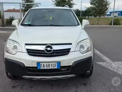 Occasion Opel Antara Cosmo 150 ch (110 kW) 2010 Blanc SUV