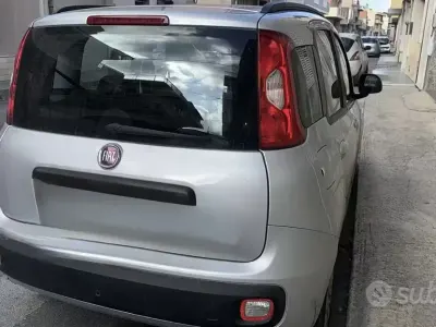Usata Fiat Panda 54 CV (39 kW) 2020 Grigio Utilitaria