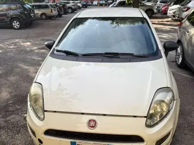 Usata Fiat Punto Lounge 69 CV (50 kW) 2014 Bianco Utilitaria