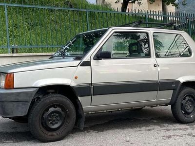 Usata 2002 Fiat Panda 4x4 Climbing Utilitaria | 6300 € (Cara)