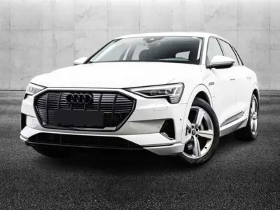 Usata Audi e-tron Business 158 kW (215 CV) 2022 Bianco SUV