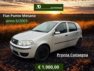 Usata Fiat Punto Dynamic 60 CV (44 kW) 2003 Argento Utilitaria