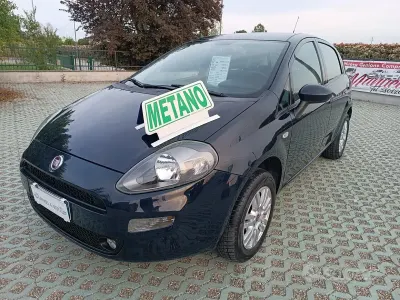 Usata Fiat Punto Lounge 70 CV (51 kW) 2016 Nero Utilitaria