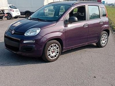 Usata Fiat Panda Classica 69 CV (50 kW) 2012 Viola Utilitaria