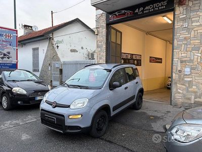 Usata Fiat Panda 4x4 S 84 CV (61 kW) 2019 Grigio Utilitaria