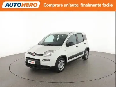 Usata Fiat Panda S 70 CV (51 kW) 2024 Bianco Utilitaria