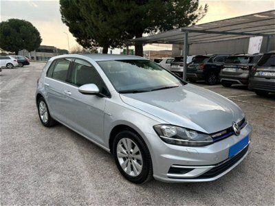 usata VW Golf VIII 1.5 TGI DSG 5p. Business BlueMotion Technology