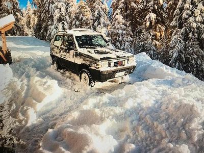 Usata Fiat Panda 4x4 54 CV (39 kW) 1995 Grigio Utilitaria