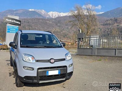 Usata Fiat Panda 4x4 S 84 CV (61 kW) 2019 Grigio Utilitaria