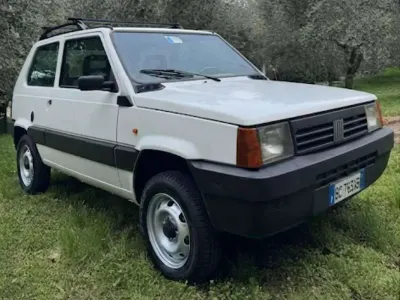 Usata Fiat Panda 4x4 Trekking 54 CV (39 kW) 1998 Bianco Utilitaria