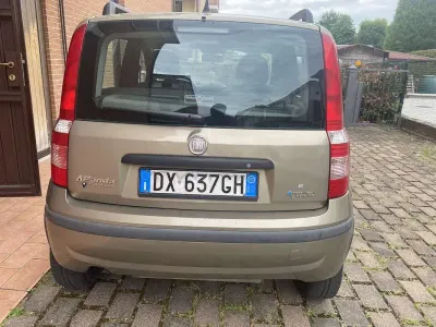 Usata Fiat Panda Dynamic 60 CV (44 kW) 2009 Utilitaria