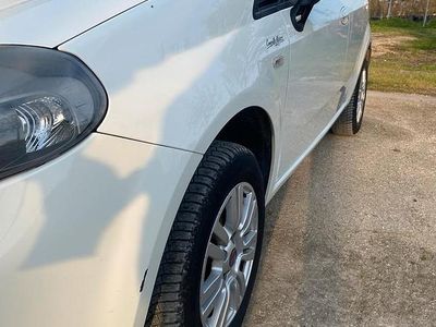 Usata Fiat Punto 77 CV (56 kW) 2014 Bianco Utilitaria