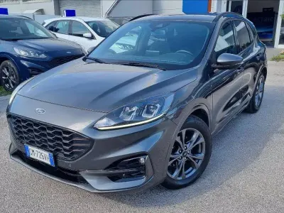 Usata Ford Kuga ST-Line 120 CV (88 kW) 2023 Magnetic g SUV