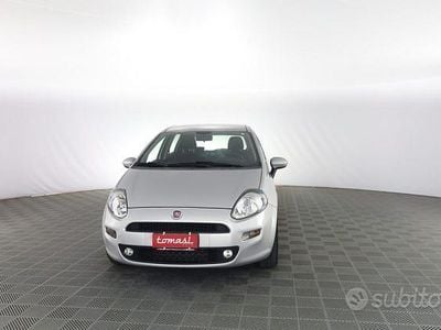 Usata Fiat Punto S 85 CV (62 kW) 2013 Grigio Utilitaria