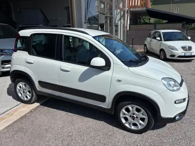 Usata Fiat Panda 4x4 75 CV (55 kW) 2014 Bianco Utilitaria
