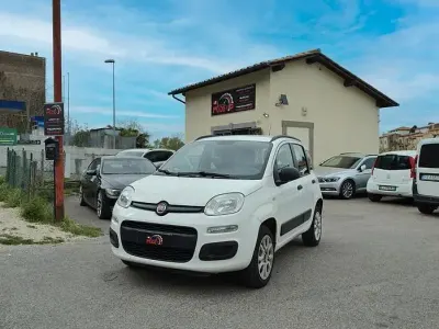 Usata Fiat Panda Easy 80 CV (58 kW) 2013 Other Utilitaria