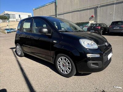 Usata Fiat Panda City Life 69 CV (50 kW) 2020 Utilitaria