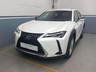 Usata Lexus UX 250h Business Edition 150 CV (110 kW) 2019 Bianco freddo SUV