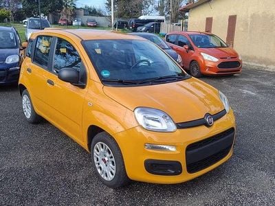Usata Fiat Panda Easy 69 CV (50 kW) 2020 Arancione Utilitaria
