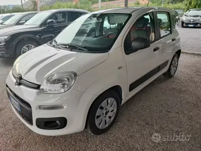 Usata Fiat Panda Lounge 69 CV (50 kW) 2015 Bianco Utilitaria