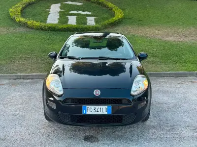 Usata Fiat Punto 77 CV (56 kW) 2017 Bluazzurro Utilitaria