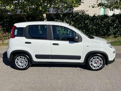 Usata Fiat Panda 69 CV (50 kW) 2022 Bianco Utilitaria