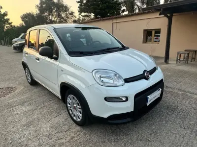 Usata Fiat Panda S 69 CV (50 kW) 2022 Bianco Utilitaria