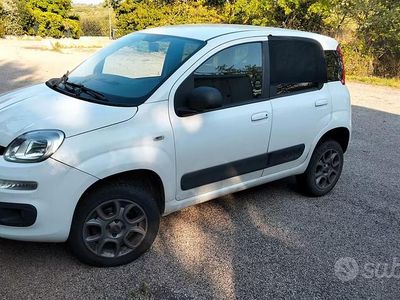Usata Fiat Panda 80 CV (58 kW) 2016 Utilitaria