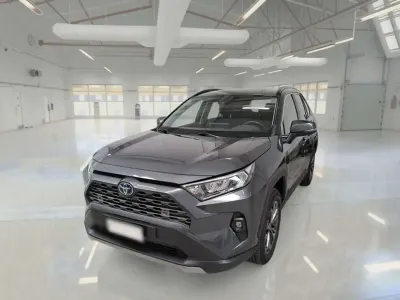 Usata Toyota RAV4 Hybrid