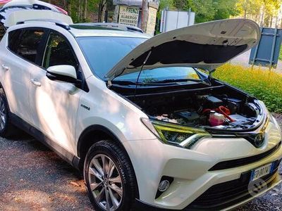 usata Toyota RAV4 Hybrid 