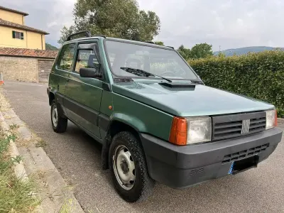 Usata Fiat Panda 4x4 Trekking 54 CV (39 kW) 2000 Verde Utilitaria