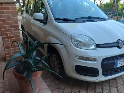 Usata Fiat Panda Lounge 69 CV (50 kW) 2013 Utilitaria