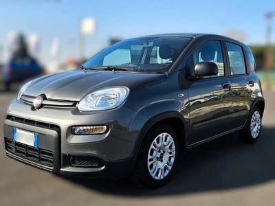 Usata Fiat Panda City Life 70 CV (51 kW) 2023 Grigio Utilitaria